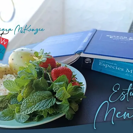 Estudio Menta Apartment Tacoronte